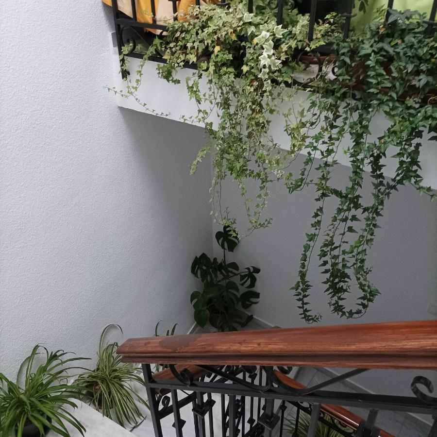 Medina Baguh Apartman Priego de Córdoba Kültér fotó